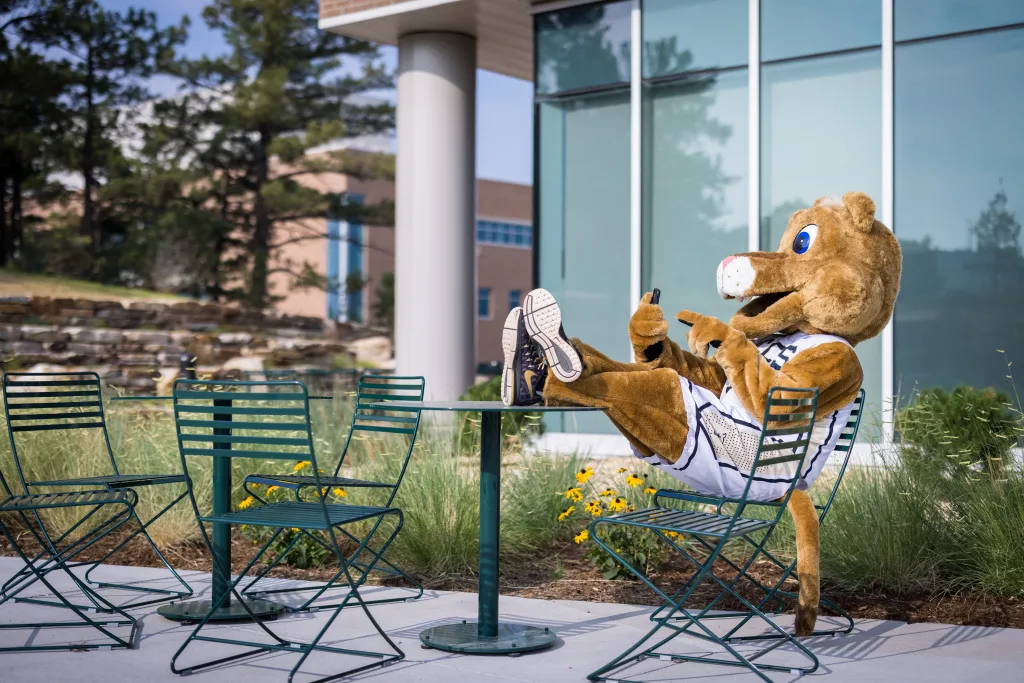 Clyde, the UCCS mascot, sitting outside at a table on his phone